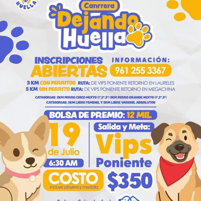 Canrera - 2° Edición